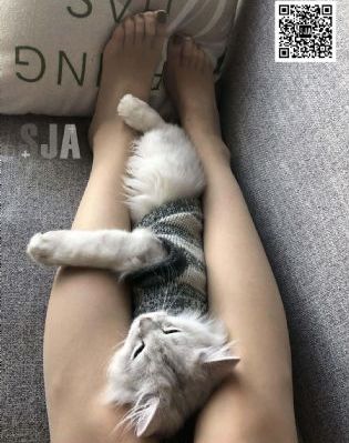 工程车好伙伴_剧情片全集免费播放