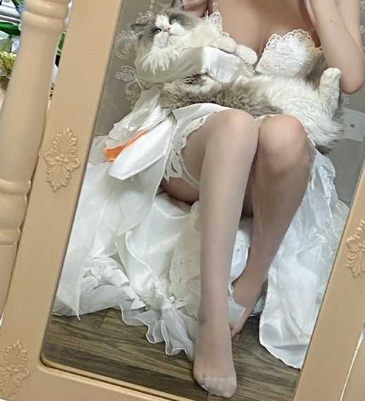 免费观看在线高清_高清免费在线播放