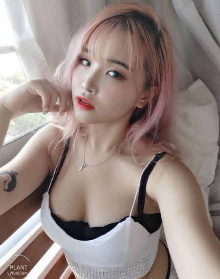 黑色四叶草免费观看全集_高清免费播放