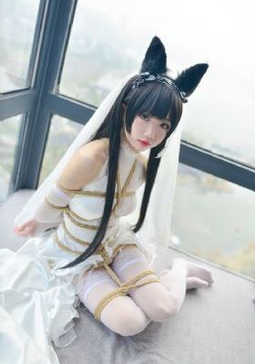 夏日福星完整版粤语_完整视频大全