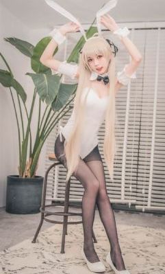 一条狗的使命_DVD日韩免费观看
